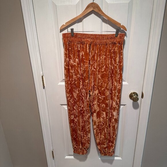 UO Aurora Crushed Velvet Jogger Pant - Size Large - Picture 5 of 6